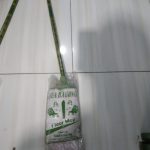 Pel Lantai Bulat