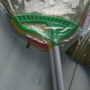 Sapu Lantai Kelelawar Biasa