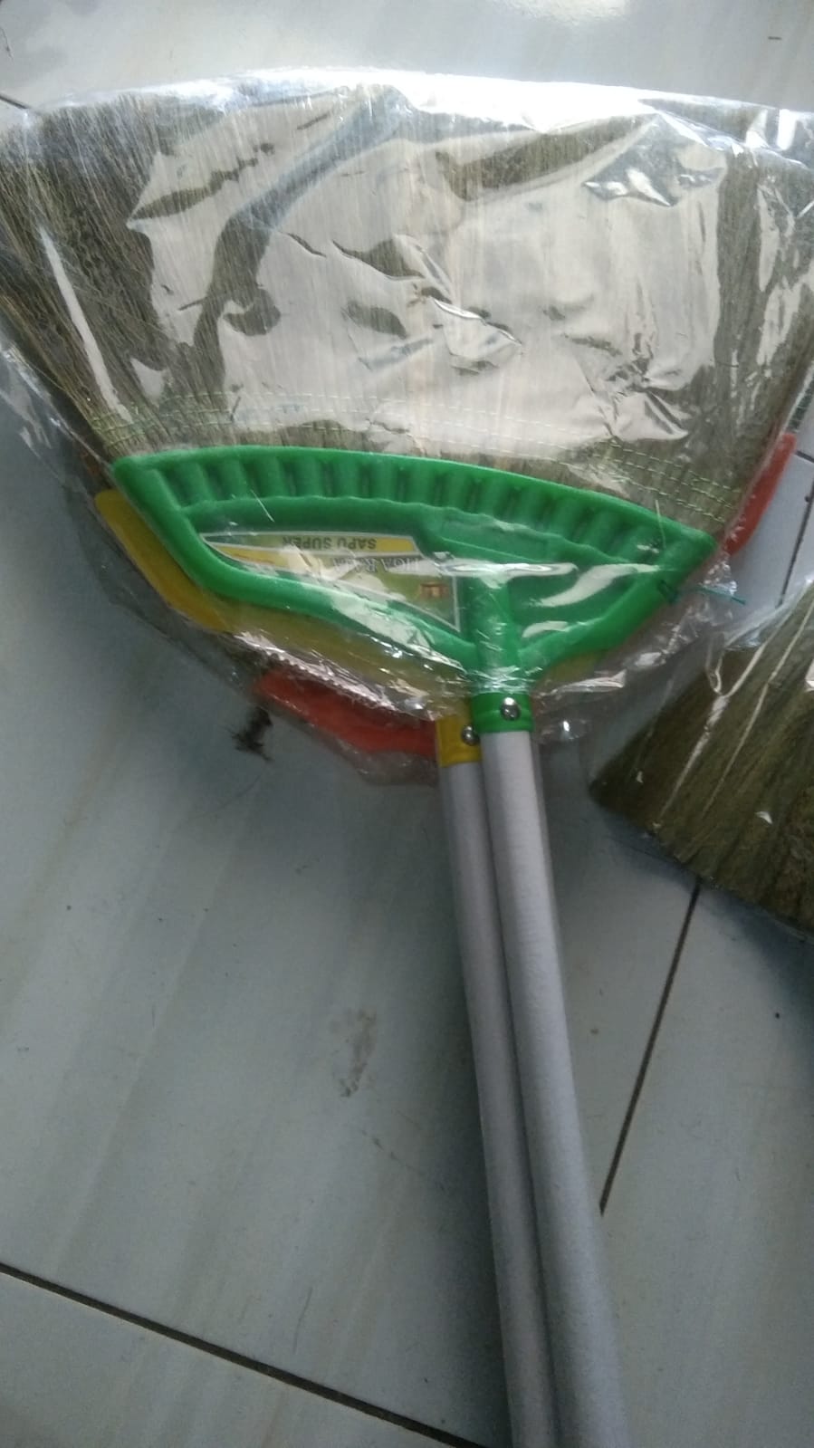 Sapu Lantai Kelelawar Biasa